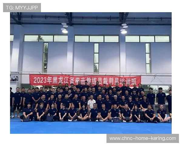 国际拳击裁判培训营注重国际化规则理解,国际拳击协会是什么性质